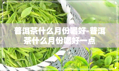 普洱茶什么月份喝好-普洱茶什么月份喝好一点