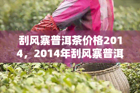 刮风寨普洱茶价格2014，2014年刮风寨普洱茶价格回顾：历价格波动与趋势分析