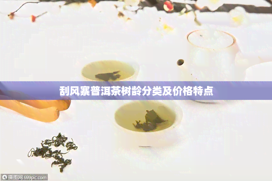 刮风寨普洱茶树龄分类及价格特点