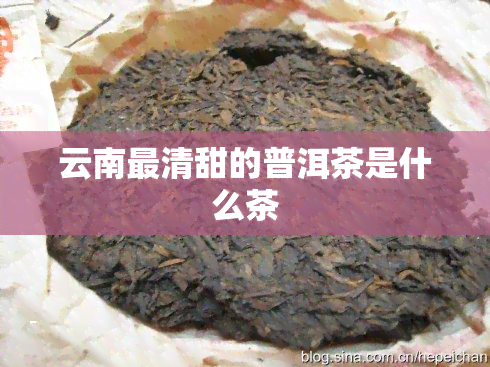 云南最清甜的普洱茶是什么茶