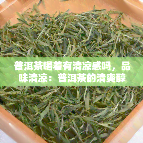 普洱茶喝着有清凉感吗，品味清凉：普洱茶的清爽醇香与品茗体验