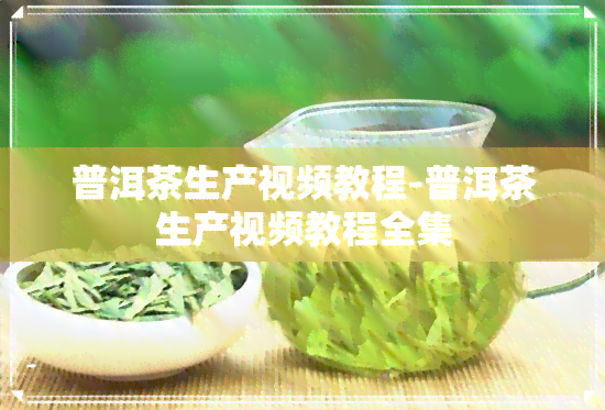 普洱茶生产视频教程-普洱茶生产视频教程全集