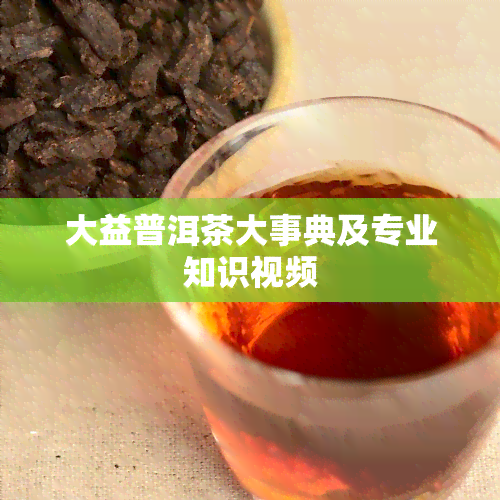 大益普洱茶大事典及专业知识视频