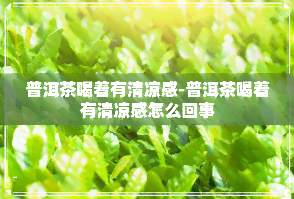 普洱茶喝着有清凉感-普洱茶喝着有清凉感怎么回事