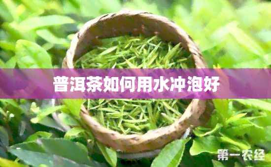 普洱茶如何用水冲泡好