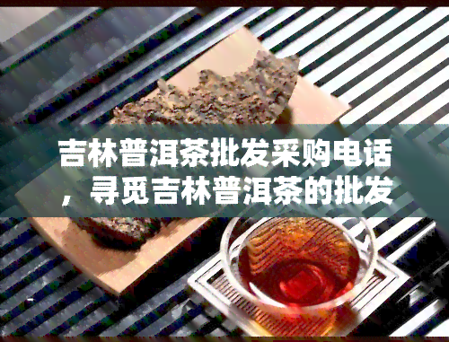 吉林普洱茶批发采购电话，寻觅吉林普洱茶的批发采购电话