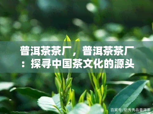 普洱茶茶厂，普洱茶茶厂：探寻中国茶文化的源头