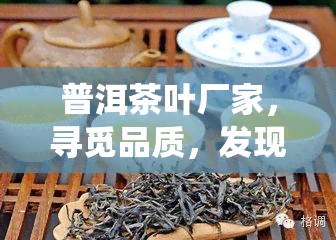 普洱茶叶厂家，寻觅品质，发现传统：普洱茶叶厂家探索之旅