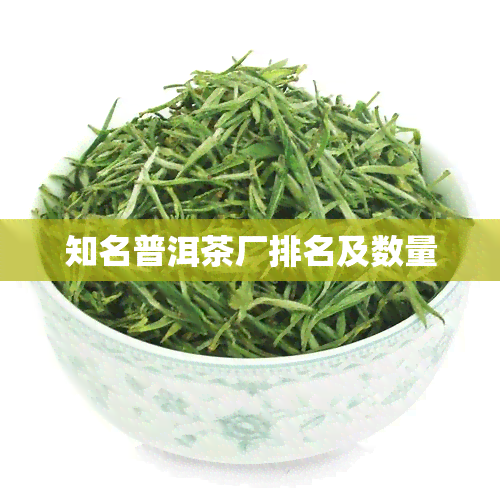 知名普洱茶厂排名及数量