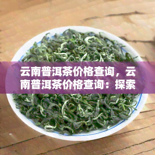 云南普洱茶价格查询，云南普洱茶价格查询：探索茶叶市场的价格趋势与品质选择