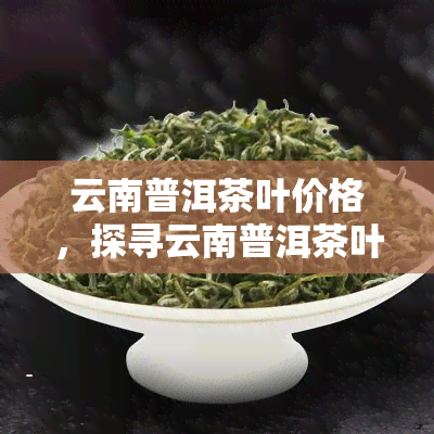 云南普洱茶叶价格，探寻云南普洱茶叶价格：品质与价值的交汇点