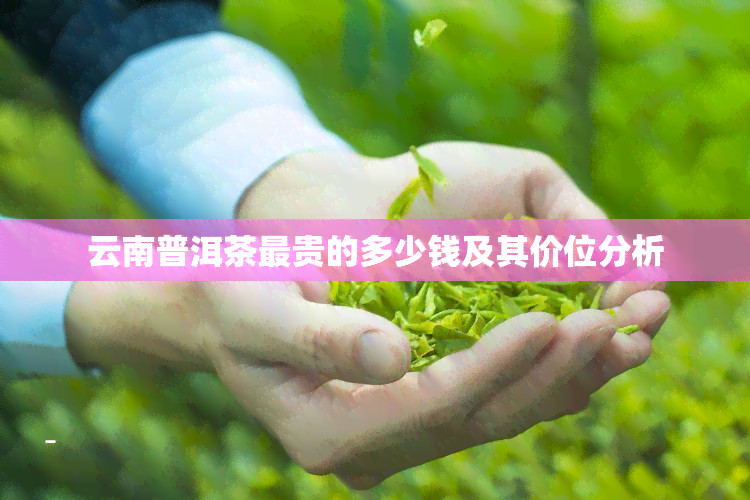 云南普洱茶最贵的多少钱及其价位分析