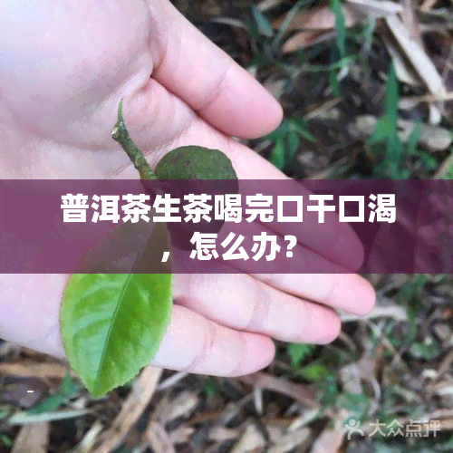 普洱茶生茶喝完口干口渴，怎么办？