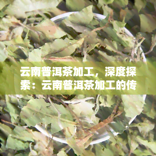 云南普洱茶加工，深度探索：云南普洱茶加工的传统与现代技术融合