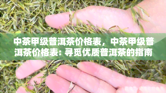 中茶甲级普洱茶价格表，中茶甲级普洱茶价格表: 寻觅优质普洱茶的指南