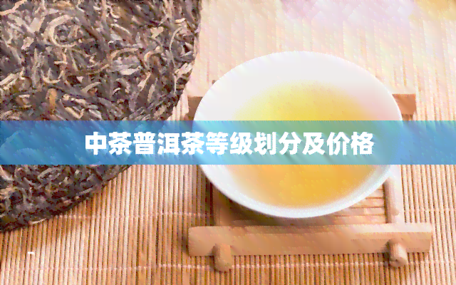 中茶普洱茶等级划分及价格