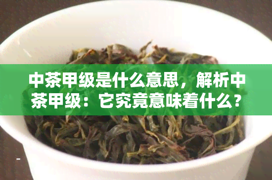 中茶甲级是什么意思，解析中茶甲级：它究竟意味着什么？