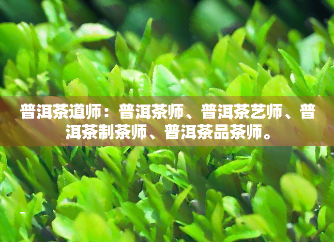 普洱茶道师：普洱茶师、普洱茶艺师、普洱茶制茶师、普洱茶品茶师。