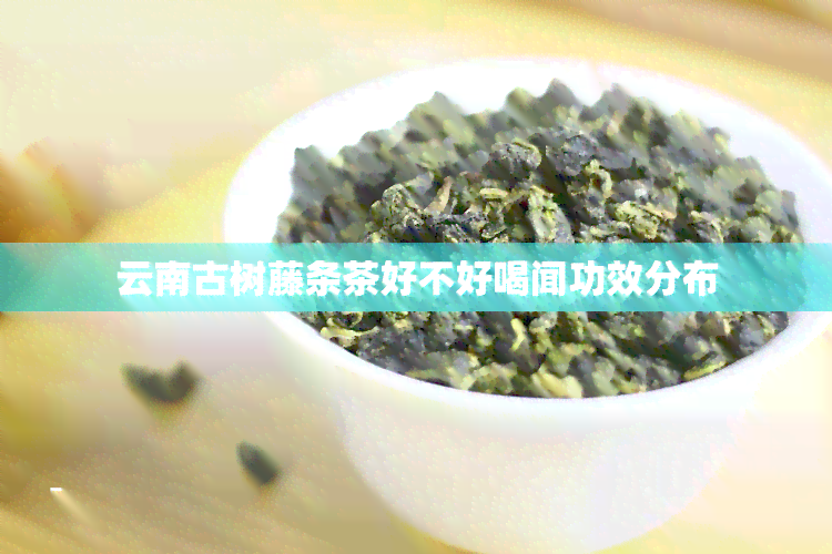 云南古树藤条茶好不好喝闻功效分布