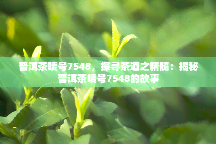 普洱茶唛号7548，探寻茶道之精髓：揭秘普洱茶唛号7548的故事