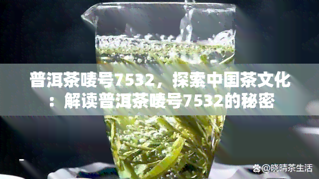 普洱茶唛号7532，探索中国茶文化：解读普洱茶唛号7532的秘密