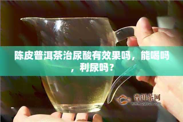 陈皮普洱茶治尿酸有效果吗，能喝吗，利尿吗？