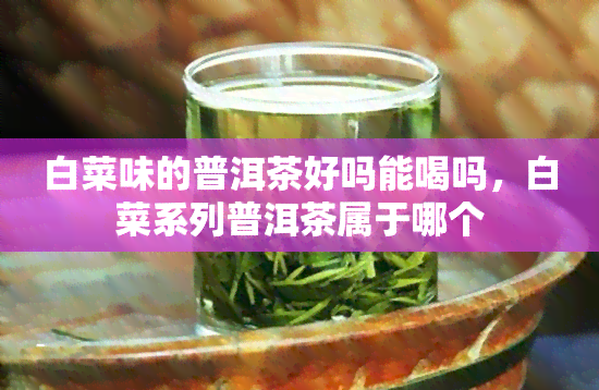 白菜味的普洱茶好吗能喝吗，白菜系列普洱茶属于哪个