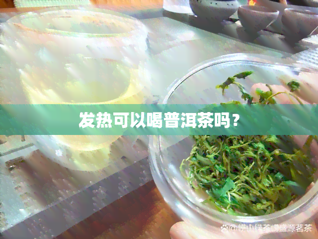 发热可以喝普洱茶吗？