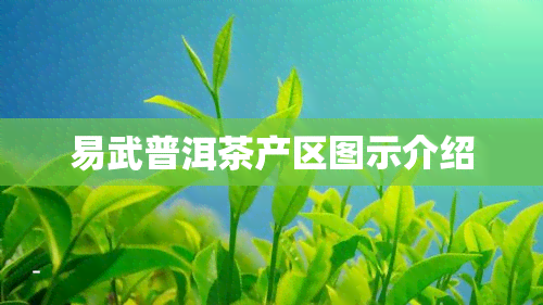 易武普洱茶产区图示介绍