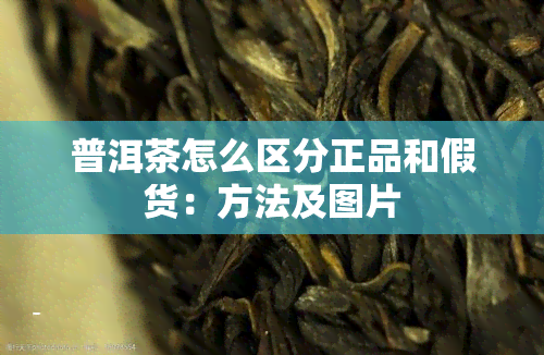 普洱茶怎么区分正品和假货：方法及图片