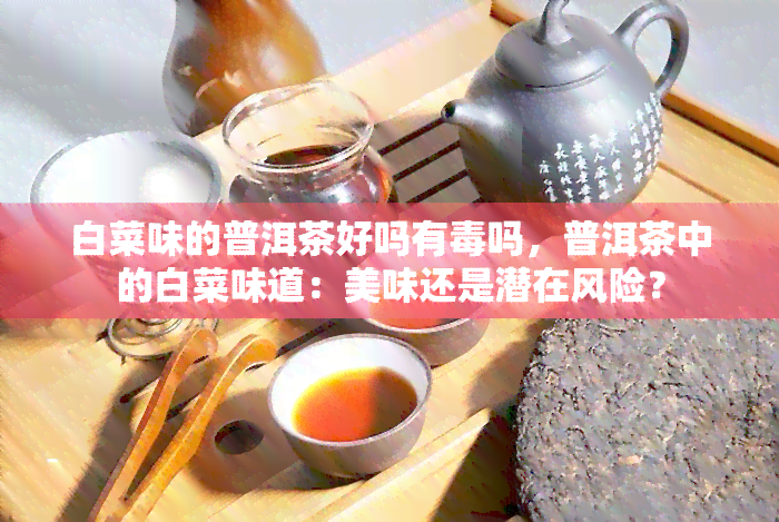 白菜味的普洱茶好吗有吗，普洱茶中的白菜味道：美味还是潜在风险？