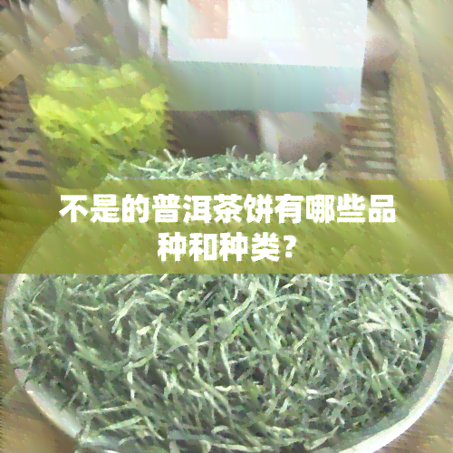 不是的普洱茶饼有哪些品种和种类？