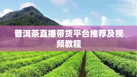 普洱茶直播带货平台推荐及视频教程