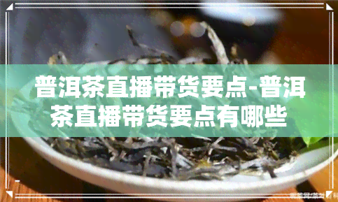 普洱茶直播带货要点-普洱茶直播带货要点有哪些