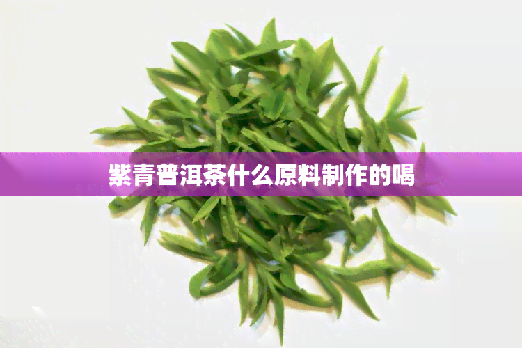 紫青普洱茶什么原料制作的喝