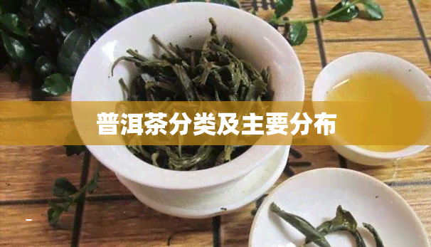 普洱茶分类及主要分布