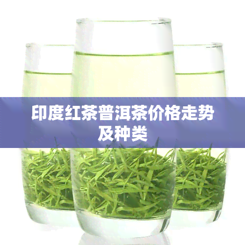 印度红茶普洱茶价格走势及种类