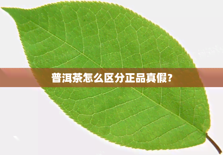 普洱茶怎么区分正品真假？