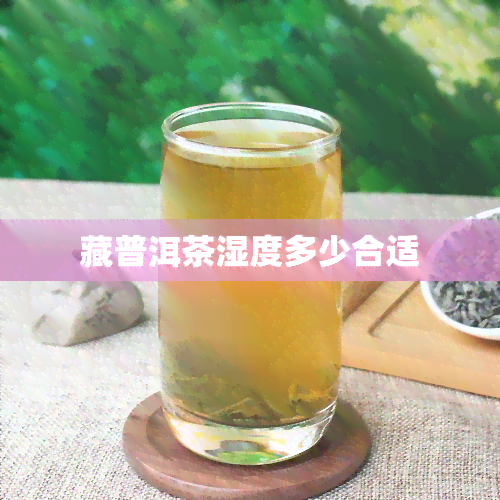 藏普洱茶湿度多少合适