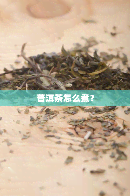 普洱茶怎么煮？