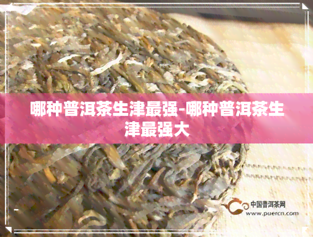 哪种普洱茶生津最强-哪种普洱茶生津最强大