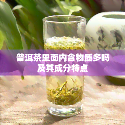 普洱茶里面内含物质多吗及其成分特点