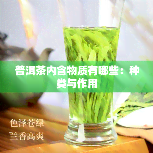 普洱茶内含物质有哪些：种类与作用