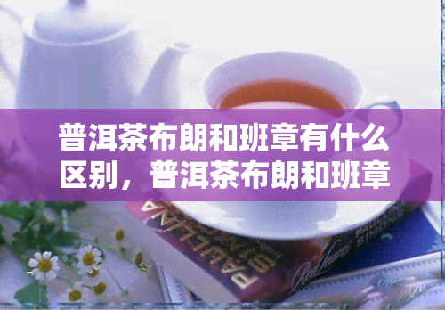 普洱茶布朗和班章有什么区别，普洱茶布朗和班章的区别揭秘