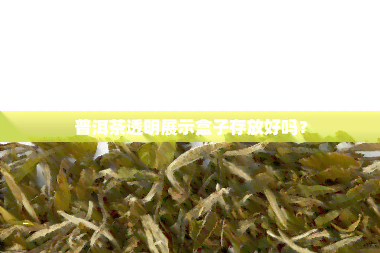 普洱茶透明展示盒子存放好吗？