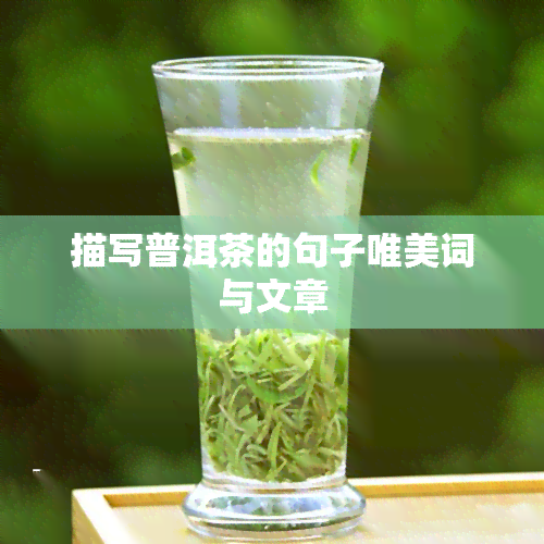 描写普洱茶的句子唯美词与文章