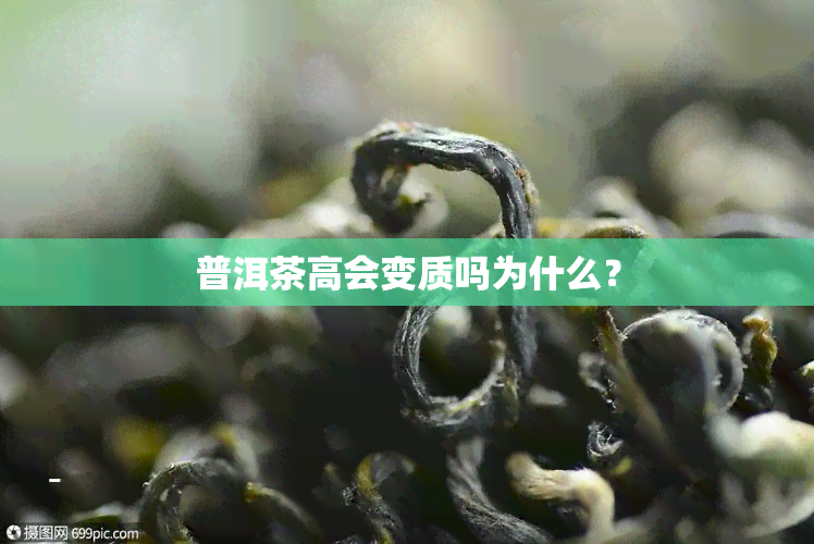 普洱茶高会变质吗为什么？