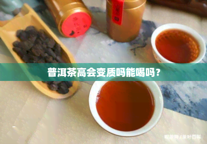 普洱茶高会变质吗能喝吗？