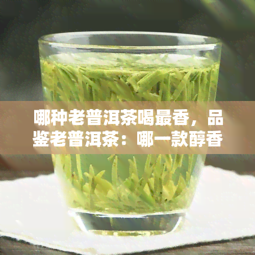 哪种老普洱茶喝最香，品鉴老普洱茶：哪一款醇香？