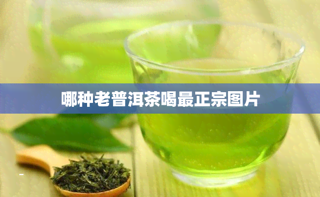 哪种老普洱茶喝最正宗图片